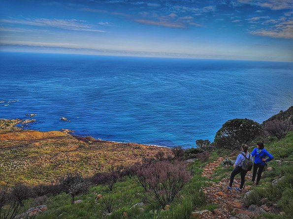Table Mountain: Tranquility Cracks Full Day Hike - Tranquillity Cracks: the quiet crevices that make Table Mountain feel alive