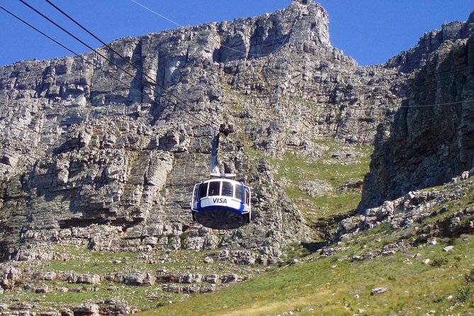 Table Mountain-Wines-Penguins-Cape Point All Inclusive Group Tour - Hout Bay Seals, With an Optional Seal Island Boat Ride