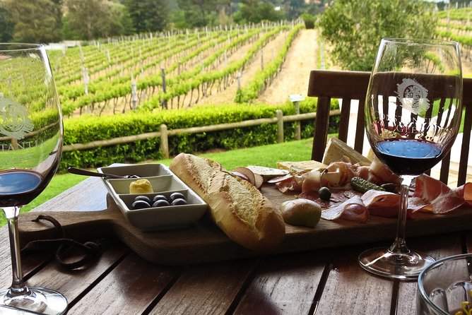 Table Mountain-Wines-Penguins-Cape Point All Inclusive Group Tour - Cape Point Vineyards Tasting Room: What’s Included and What Might Change