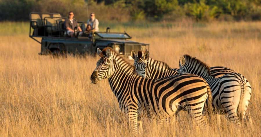 Tala Game Reserve & Natal Lion Park 1/2 Day Tour from Durban - A smart packing list for a Durban safari morning