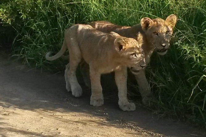 Tala Game reserve. Natal Lion Park and Valley of 1000 hills - Key highlights to know before you go