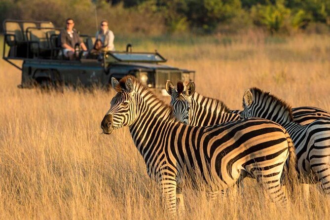 Tala Game Reserve, Phezulu Safari & Natal Lion Park Full Day Tour From Durban - Quick highlights