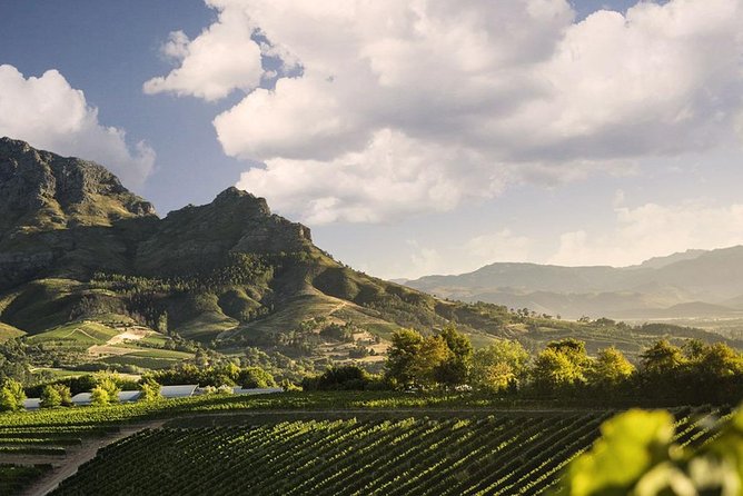 Taste + Tram the Winelands Tour: Franschhoek, Stellenbosch, Paarl - Rickety Bridge or Plaisir: two tram-stop wine styles, one included tasting