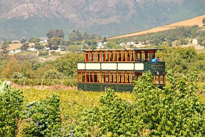 Taste + Tram the Winelands Tour: Franschhoek, Stellenbosch, Paarl - Value and pricing: what you get for $189.79