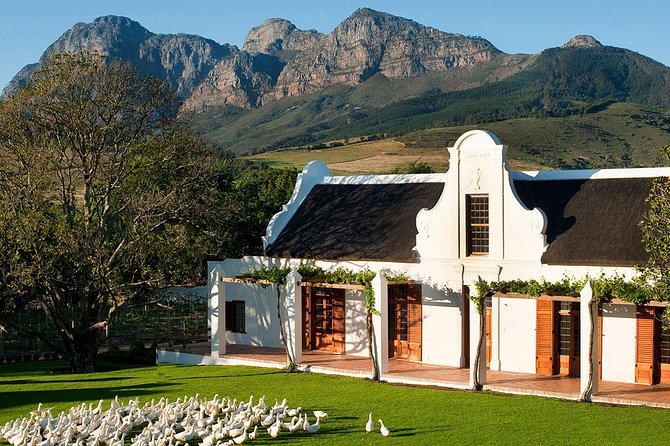 Tastes of Stellenbosch Wine Full Day Tour with Private Transfer - Key things I like about this Stellenbosch private wine day