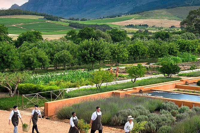 Tastes of Stellenbosch Wine Full Day Tour with Private Transfer - Dorpstraat Stellenbosch: use your free hour for lunch the way you want