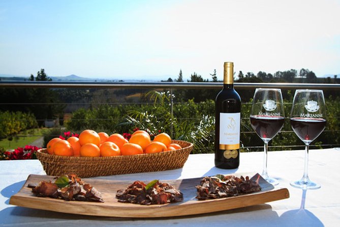 Tastes of Stellenbosch Wine Full Day Tour with Private Transfer - Clos Malverne and the wine plus artisan ice cream twist