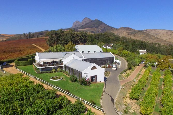 Tastes of Stellenbosch Wine Full Day Tour with Private Transfer - Guide quality makes or breaks a wine day, and this tour nails it