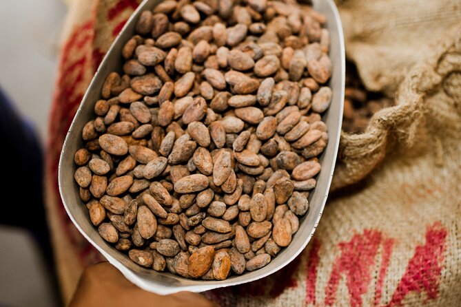 The Art of Chocolate Making Bean-To-Bar Experience in Cape Town - Should You Book This? My Practical Take