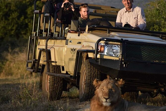 The Best of Zululand's Big 5 reserves - For the Discerning guest - Key highlights you will feel fast