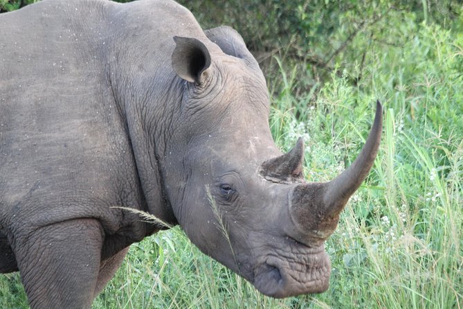 The Best of Zululand's Big 5 reserves - For the Discerning guest - Should you book it? My decision rule for the discerning safari lover