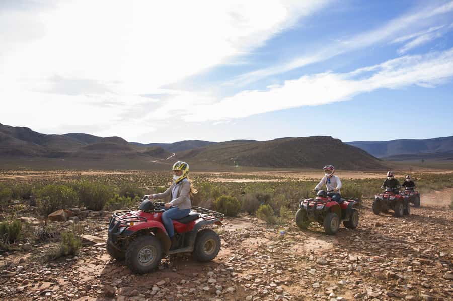 The Best Private Cape Town Safari Day Trip - Aquila Big 5 - The day’s timeline, step by step