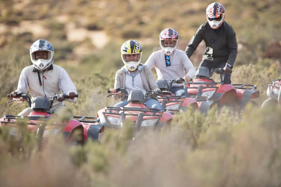 The Best Private Cape Town Safari Day Trip - Aquila Big 5 - What you really get for $374 per person