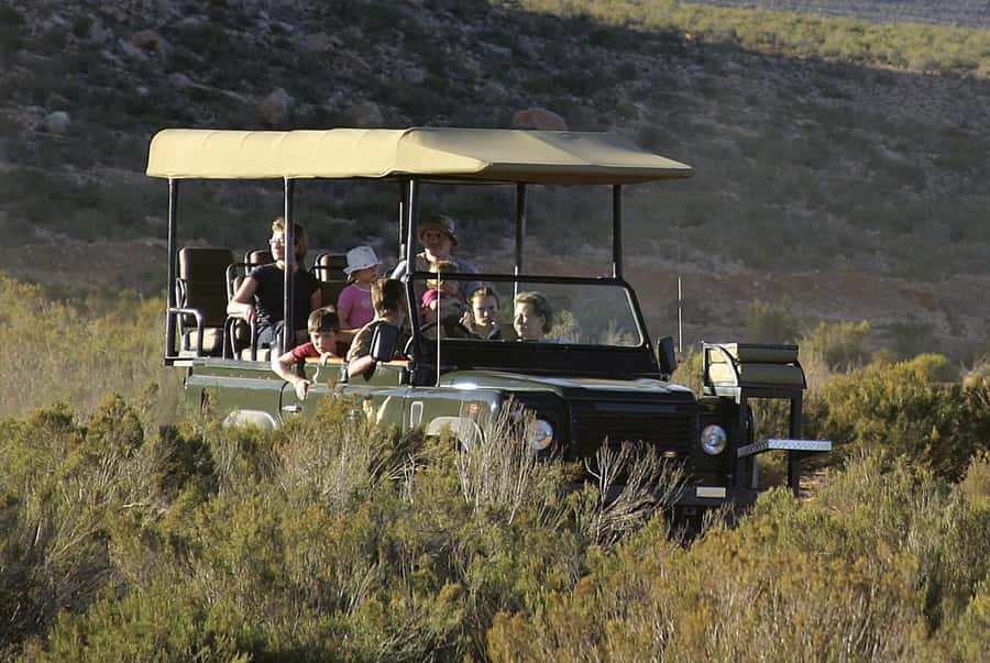 The Best Private Cape Town Safari Day Trip - Aquila Big 5 - Who this private Aquila Big 5 trip is best for