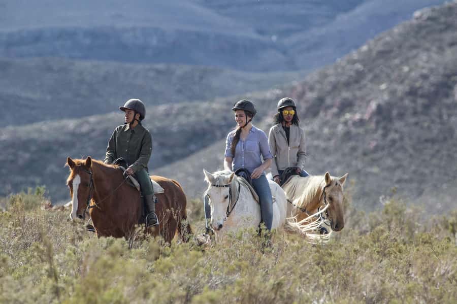 The Best Private Cape Town Safari Day Trip - Aquila Big 5 - Where Aquila fits on a Cape Town itinerary