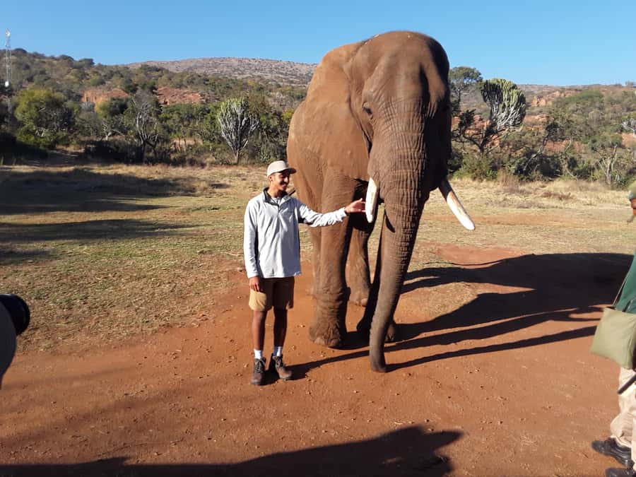 The Elephant and Monkey Sanctuary. - Key things to know before you go