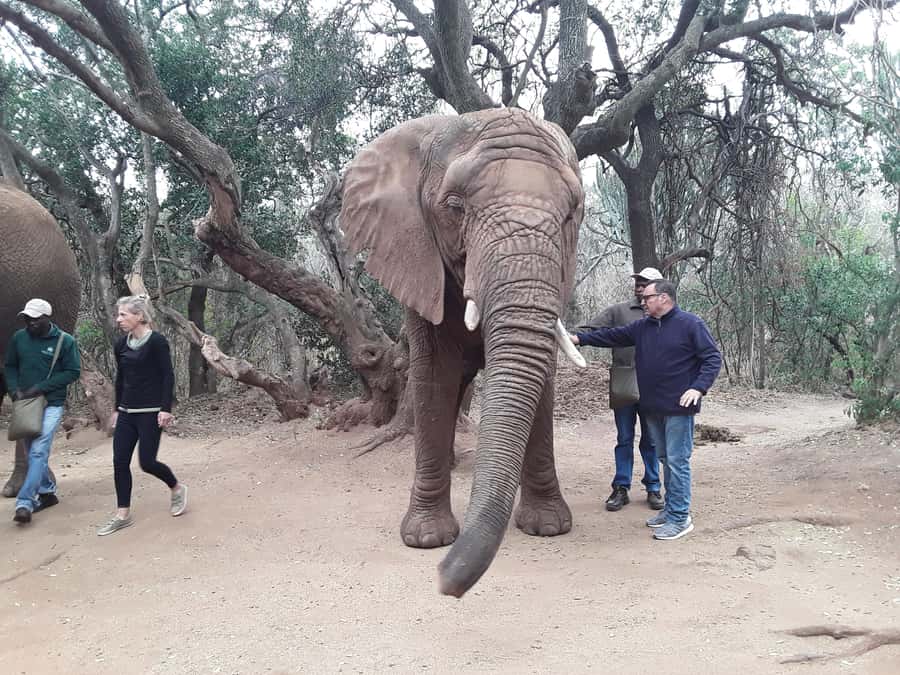 The Elephant and Monkey Sanctuary. - Monkey sanctuary time: shoulder-sitters, playful chaos, and photo strategy