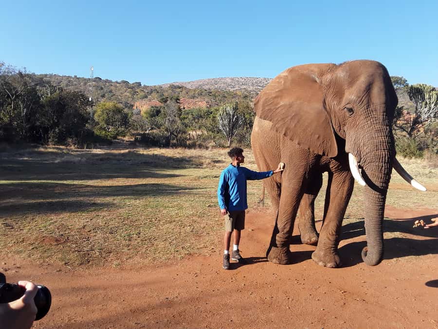 The Elephant and Monkey Sanctuary. - Price and value: what the base price covers, and what adds up at the sanctuary