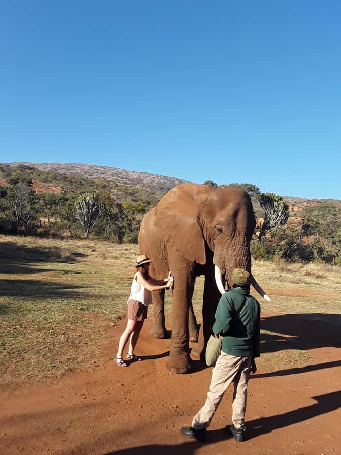 The Elephant and Monkey Sanctuary. - What to bring (and what not to) so monkeys don’t steal the show