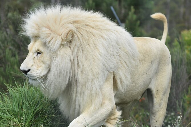 The Private Wildlife Tour - Price and value: is $35.27 a good deal?