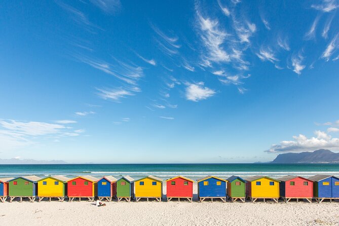The Road Trip (Cape Point and Penguins) - Cape Point and Penguins in One Tight, Scenic Road Trip