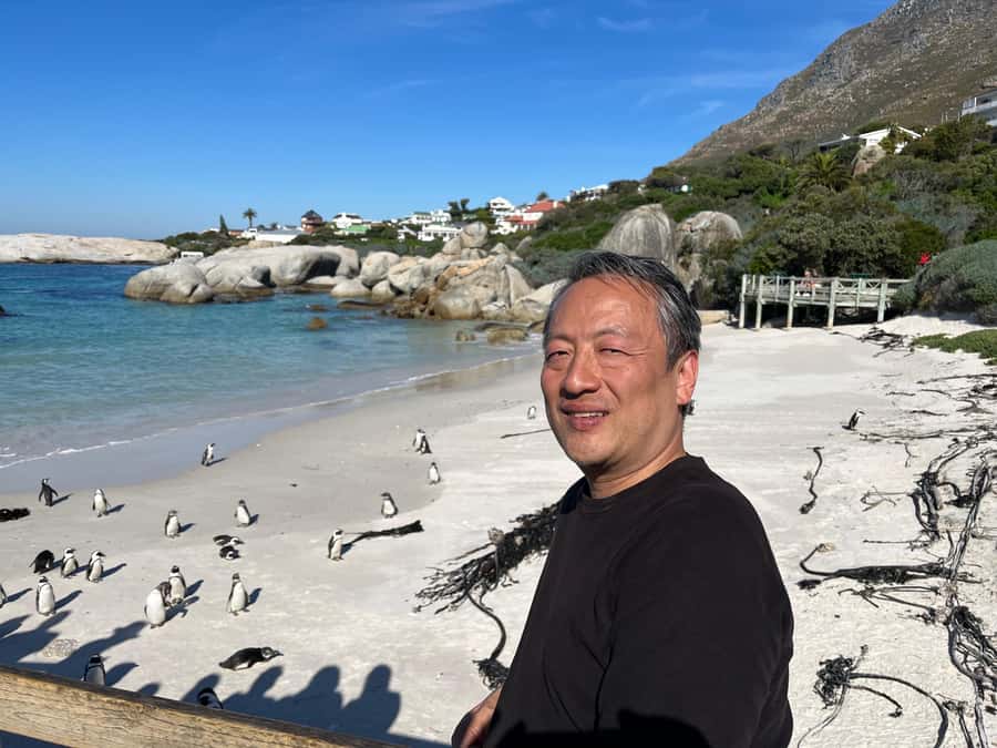 The Ultimate Cape of Good Hope Experience - Boulders Penguin Colony, without the time-waster stress