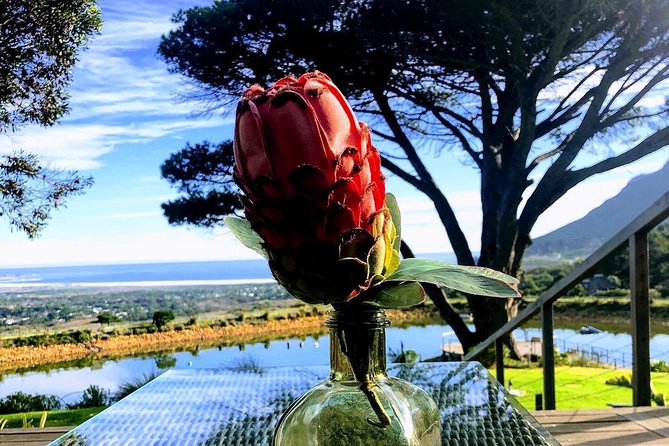 Three Day Private tour: Table Mountain, City, Cape Peninsula and Winelands - Price and Value: What You Pay For, and What You’ll Likely Add