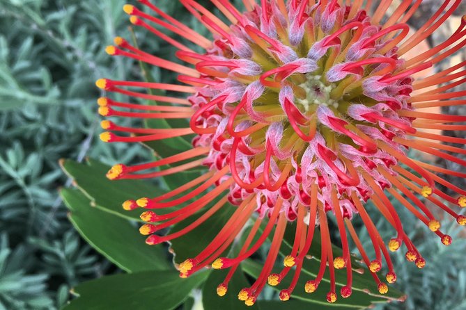 Three Day Private tour: Table Mountain, City, Cape Peninsula and Winelands - Should You Book This 3-Day Private Cape Town and Winelands Tour?