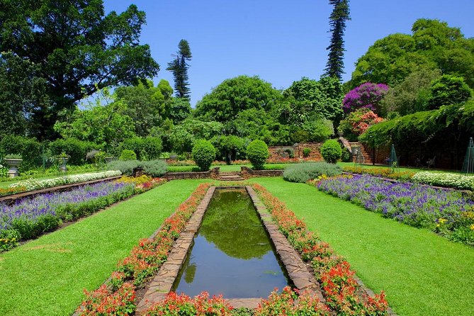 Top 10 Things to do in Durban City Tour - Stop 4: Markets of Warwick, Zulu medicine and herb market