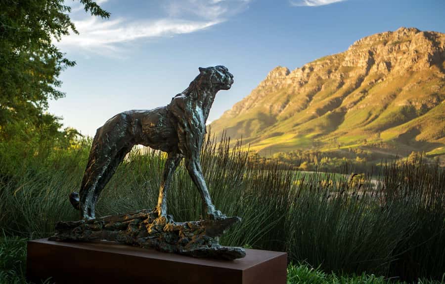 Tour the Winelands: Stellenbosch to Franschhoek - Key Highlights Worth Getting Excited About