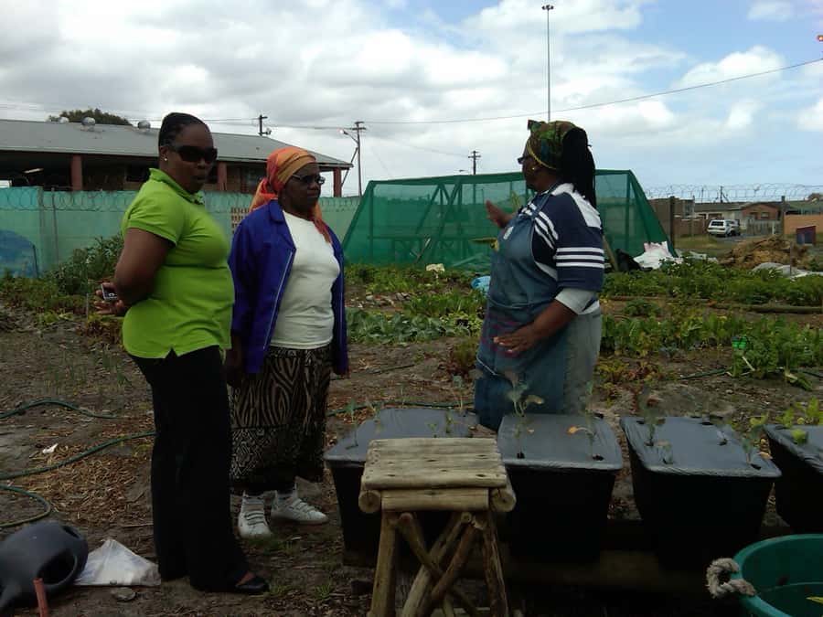 Township Eco Tour - Key highlights at a glance