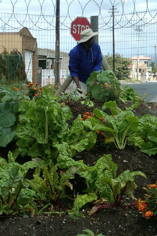 Township Eco Tour - Who should book, and who should think twice
