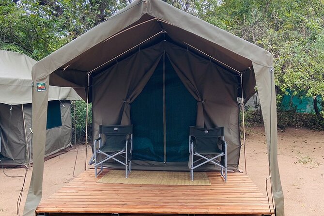 Two day Kruger National Park Safari from Johannesburg - Price and value: how $317.44 stacks up for Kruger