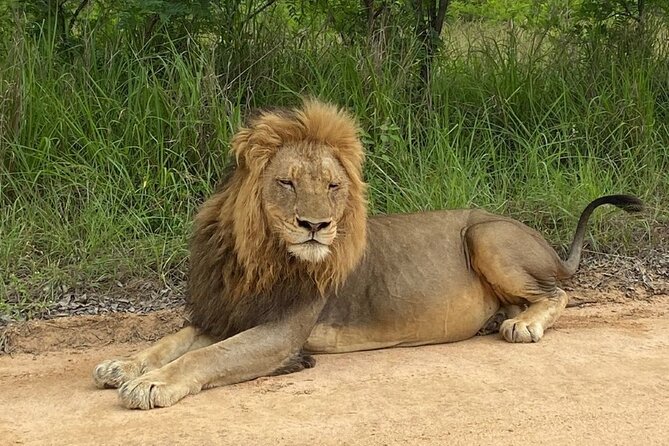 Two Days, One Night Tour: Blyde River to Kruger National Park - The value: you’re paying for time, logistics, and real safari hours