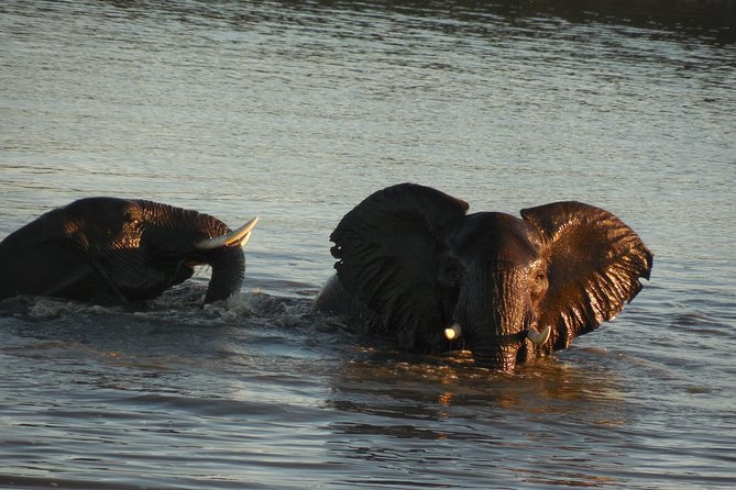 Two Days, One Night Tour: Blyde River to Kruger National Park - Food, dietary needs, and what’s included