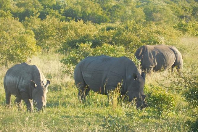 Two Days, One Night Tour: Blyde River to Kruger National Park - Who this tour fits best