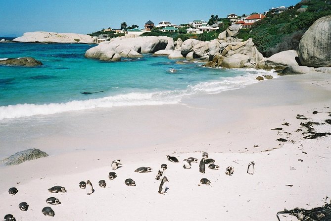 Ultimate Cape Point Tour from Cape Town - Full Day - Bo-Kaap first stop: color, cobblestones, and a fast cultural start