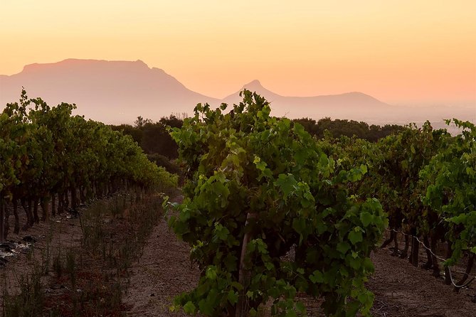 Unique Stellenbosch Winelands Tour with optional 4x4 Wine Drive - How the day flows: pickup, transport, and a schedule you can actually handle