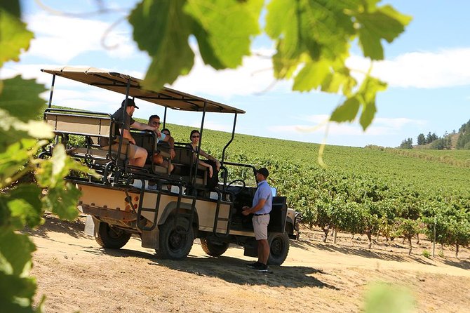 Unique Stellenbosch Winelands Tour with optional 4x4 Wine Drive - DeMorgenzon’s baroque vines, and why it actually works as a story