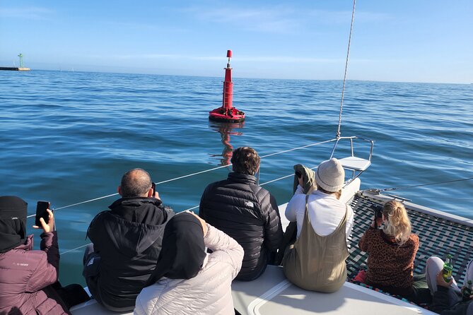 V&A Waterfront Marine Big 5 Ocean Safari - Price and Value: Is $57.72 Worth It?