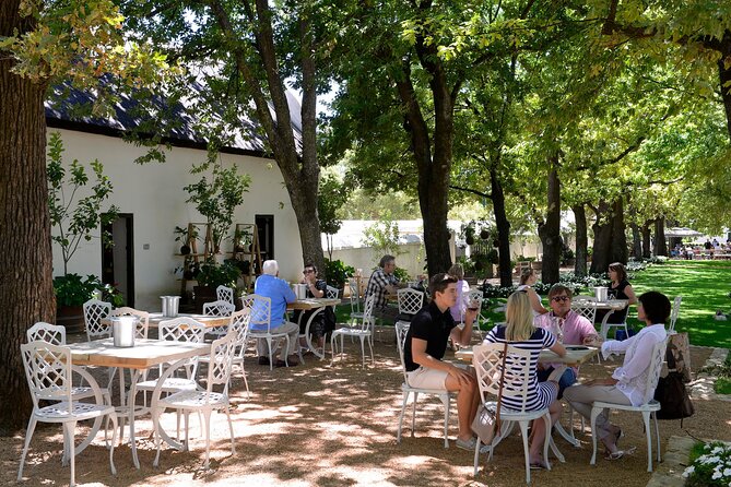 Vine Hopper: Hop-On Hop-Off Wine Tour - Eastern Route - Who should book this wine hop-on tour, and who might not love it