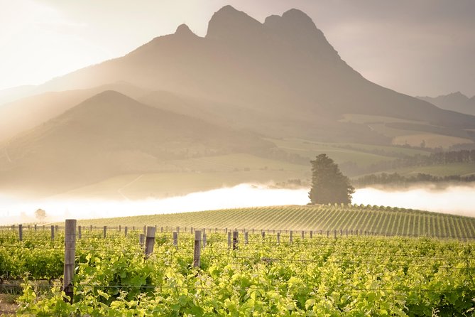 Vine Hopper: Hop-On Hop-Off Wine Tour - Northern Route - Key Things to Know Before You Go