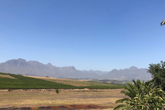 Vine Hopper: Hop-On Hop-Off Wine Tour - Northern Route - The First Stop: Stellenbosch Crafts Alive as Your “Set the Day” Moment