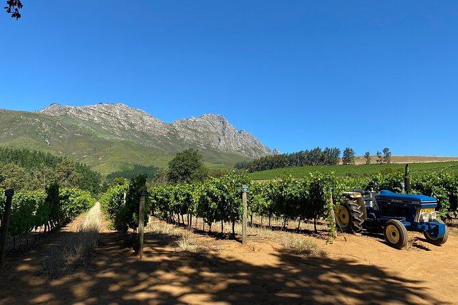 Vine Hopper: Hop-On Hop-Off Wine Tour - Northern Route - Route Day Logistics: Pickup, Timing, and the “Hop-On” Rhythm