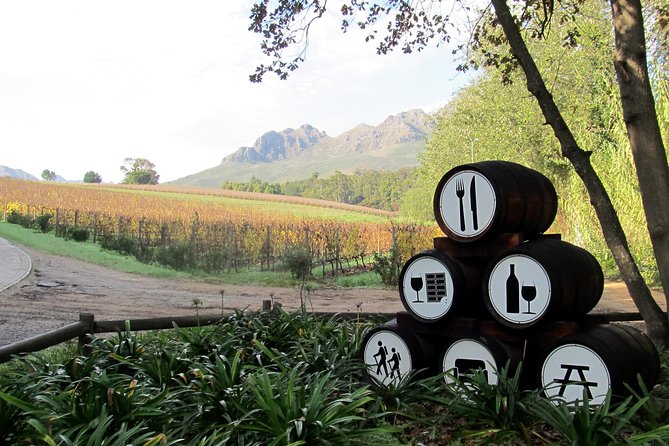 Vine Hopper: Hop-On Hop-Off Wine Tour - Southern Route - Drivers and vibe: Marshall, Jerome, Keaneroy, and the social factor
