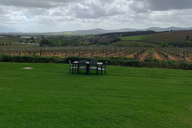 Vine Hopper: Hop-On Hop-Off Wine Tour - Southern Route - Price and time math for this $25.88 per person circuit