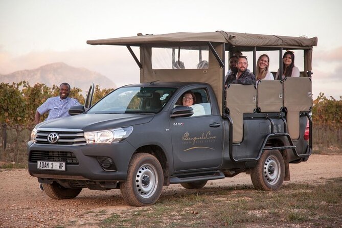 Vineyard Safari and Wine Tasting in Hermanus with Guide - Key highlights not to miss