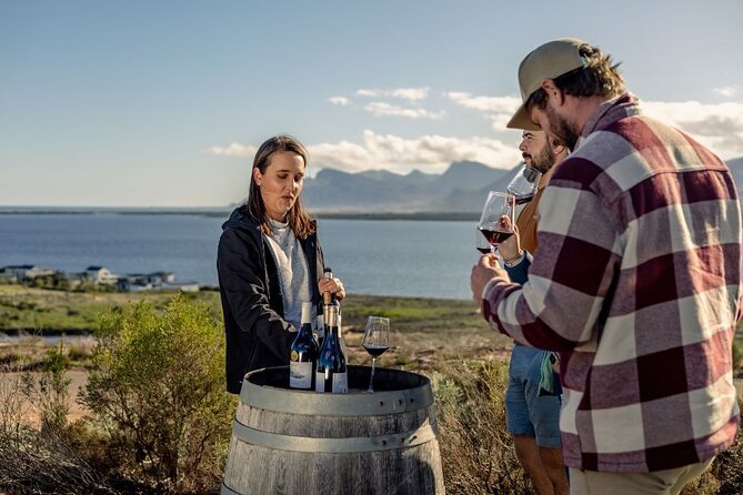 Vineyard Safari and Wine Tasting in Hermanus with Guide - Ocean-Facing Vines, Olive Groves, and the Koggelberg-Biosphere Angle