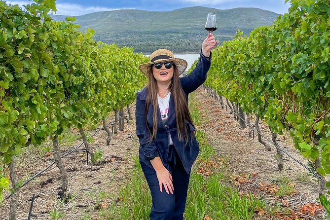 Vineyard Safari and Wine Tasting in Hermanus with Guide - Staying for Lunch or Dinner: Chef Annie Badenhorst’s Interpretations