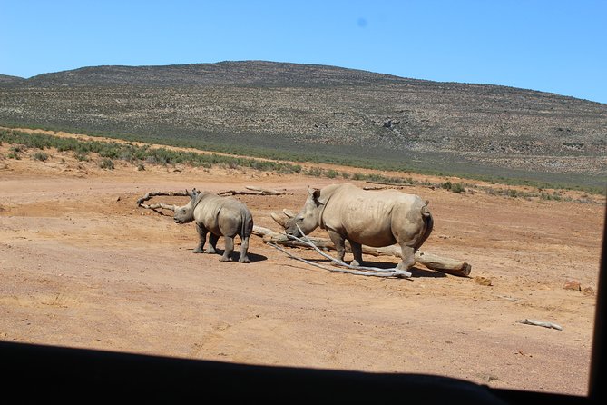 Visit African Big 5 Safari Aquila Game Reserve from Cape Town - full Day - The scenic wine and mountain road to Aquila